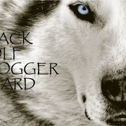 Black Wolf Blogger